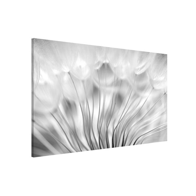 Magnetic memo board - Beautiful Dandelion Black And White