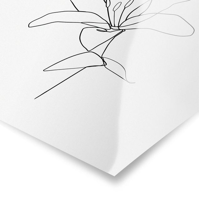Poster - Line Art Flower Black White