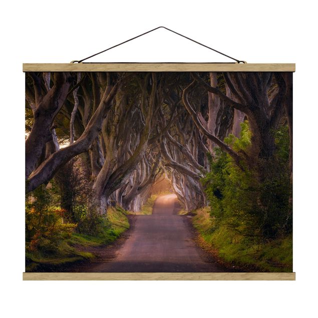 Fabric print with poster hangers - Tunnel Of Trees