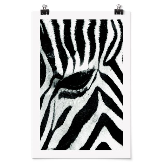 Poster animals - Zebra Crossing No.3
