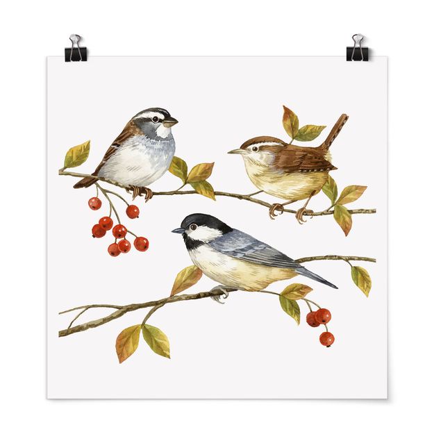 Poster - Birds And Berries - Tits