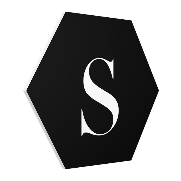Forex hexagon - Letter Serif Black S