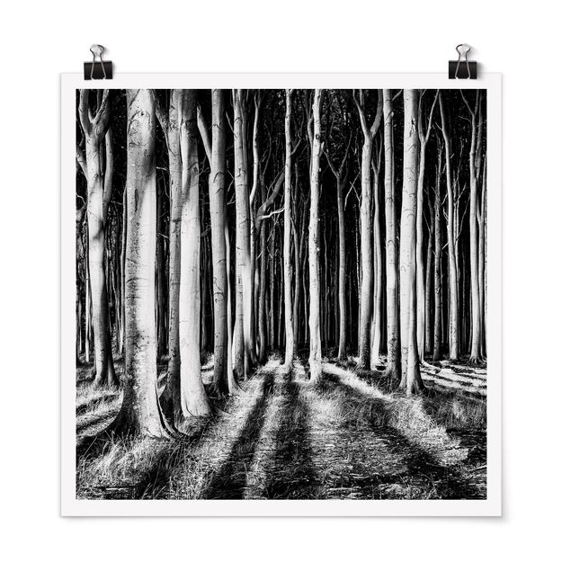 Poster - Spooky Forest