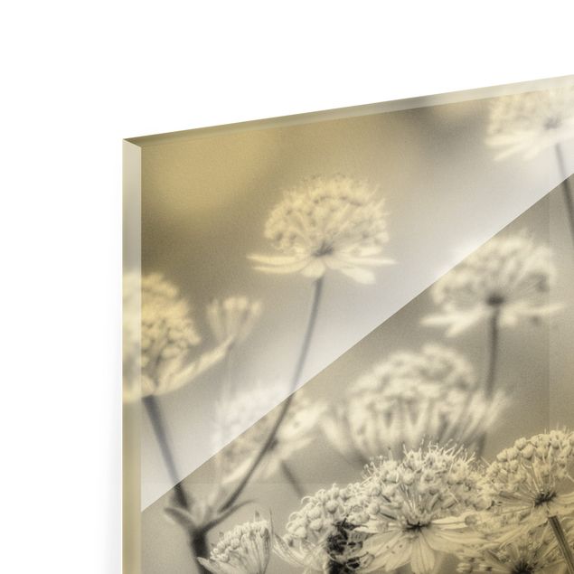 Glass print - Floating Wild Flowers II - Landscape format