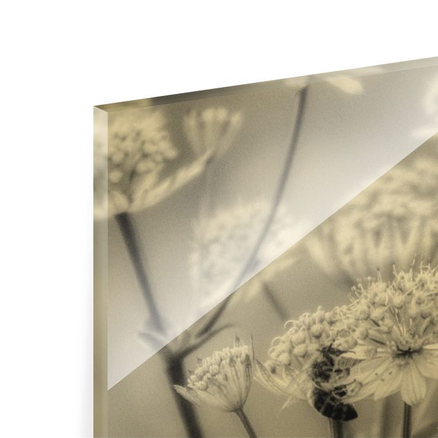 Glass print - Floating Wild Flowers II - Panorama