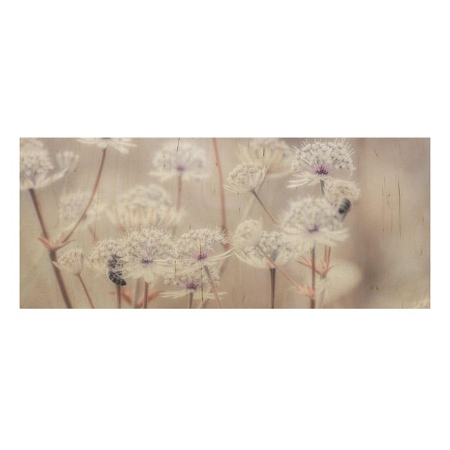 Wood print - Wild Flowers Light As A Feather
