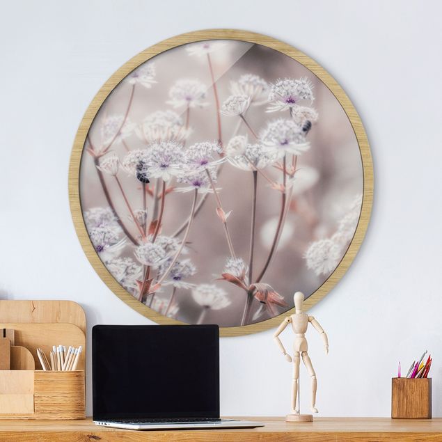 Framed prints round Wild Flowers Light As A Feather