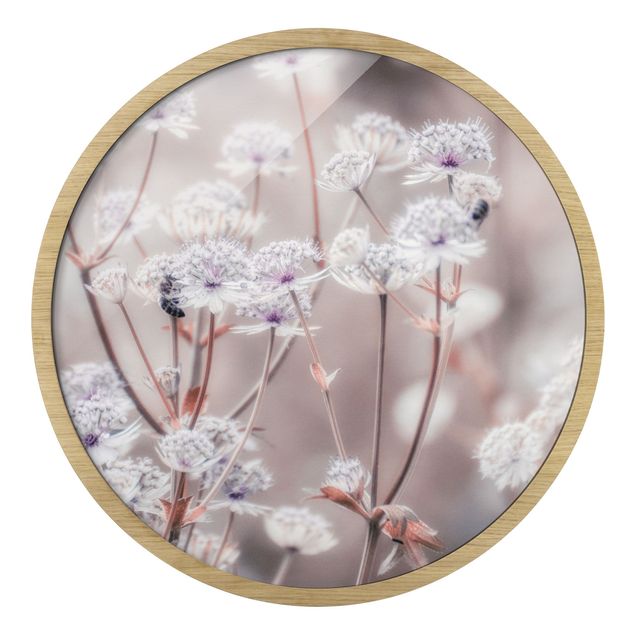 Circular framed print - Wild Flowers Light As A Feather