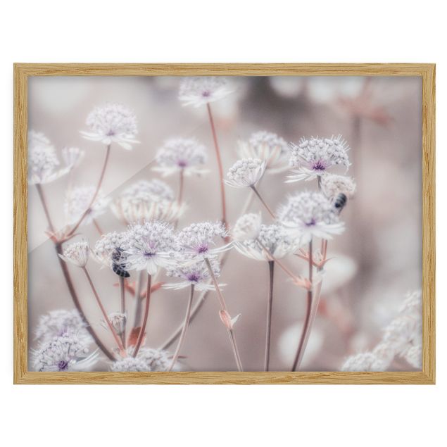 Framed poster - Wild Flowers Light As A Feather