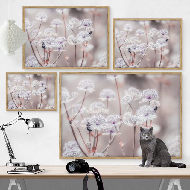 Framed poster - Wild Flowers Light As A Feather