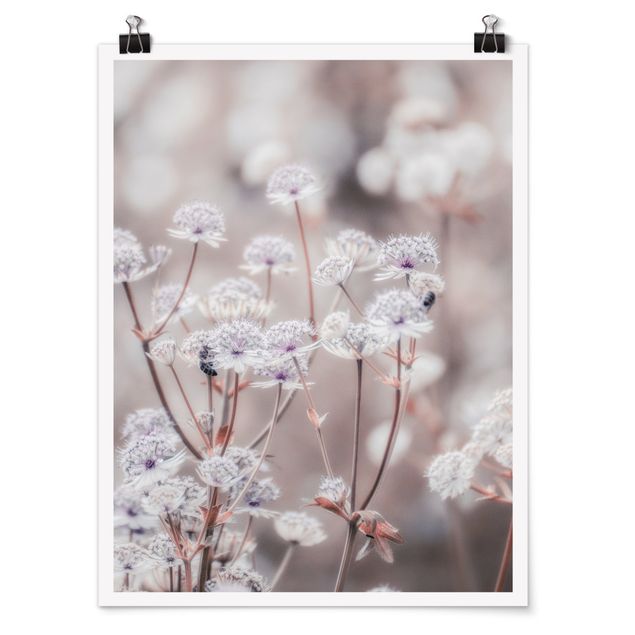 Poster - Wild Flowers Light As A Feather