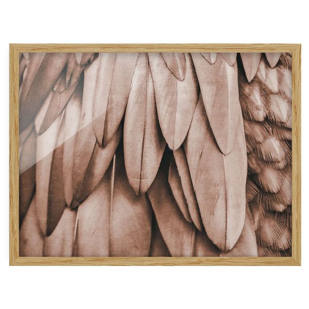 Framed poster - Feathers In Rosegold