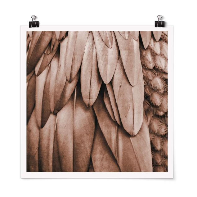 Poster - Feathers In Rosegold