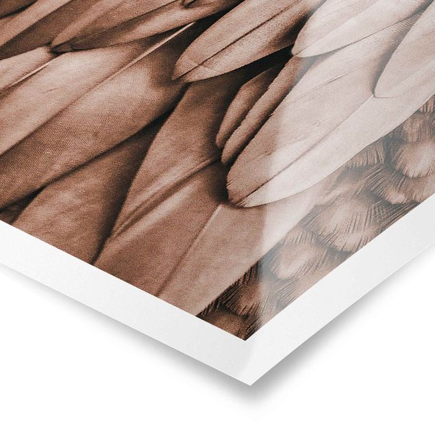 Poster - Feathers In Rosegold