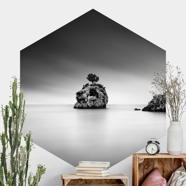 Self-adhesive hexagonal wall mural Rocky Island In The Sea Black And White