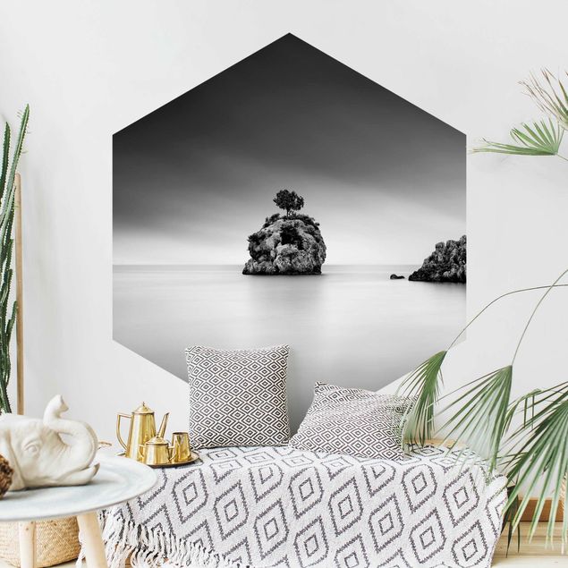 Self-adhesive hexagonal pattern wallpaper - Rocky Island In The Sea Black And White