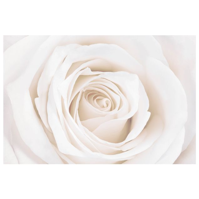 Window decoration - Pretty White Rose