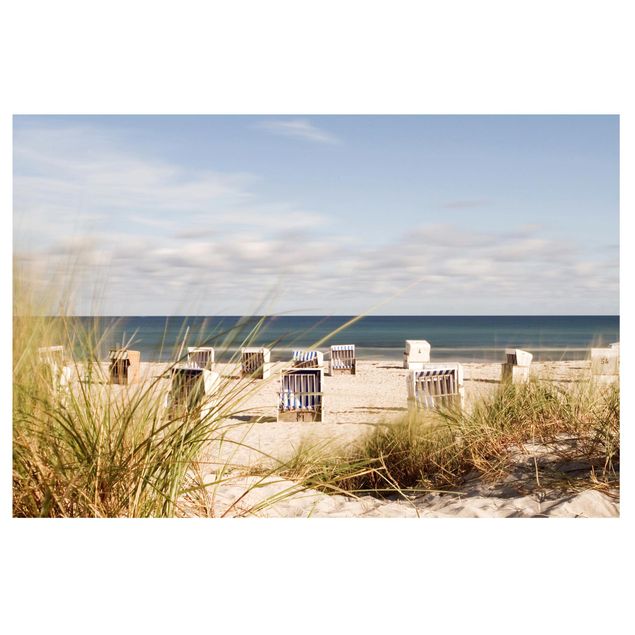 Window decoration - Baltic Sea And Beach Baskets