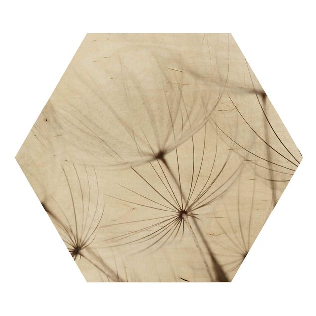 Wooden hexagon - Gentle Grasses