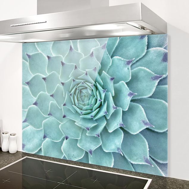 Glass splashback kitchen flower Cactus Agave