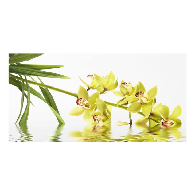 Splashback - Elegant Orchid Waters