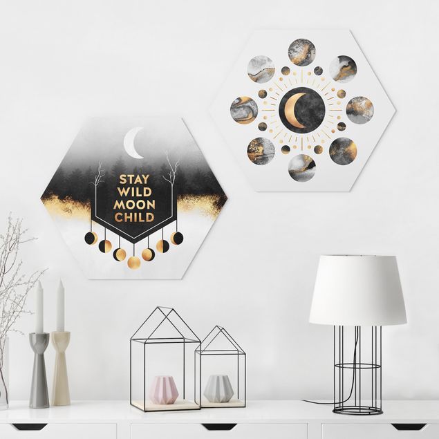 Forex hexagon - Stay Wild Moon Child Moon Phases