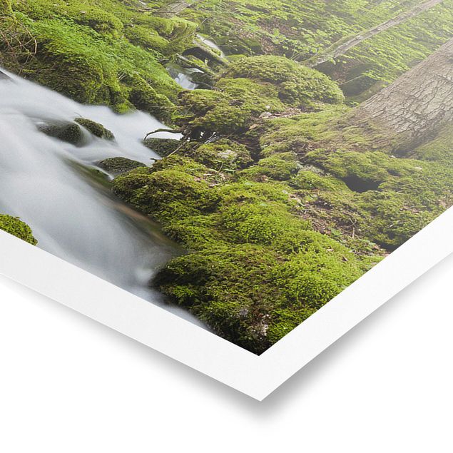 Panoramic poster nature & landscape - Mossy Stones Switzerland