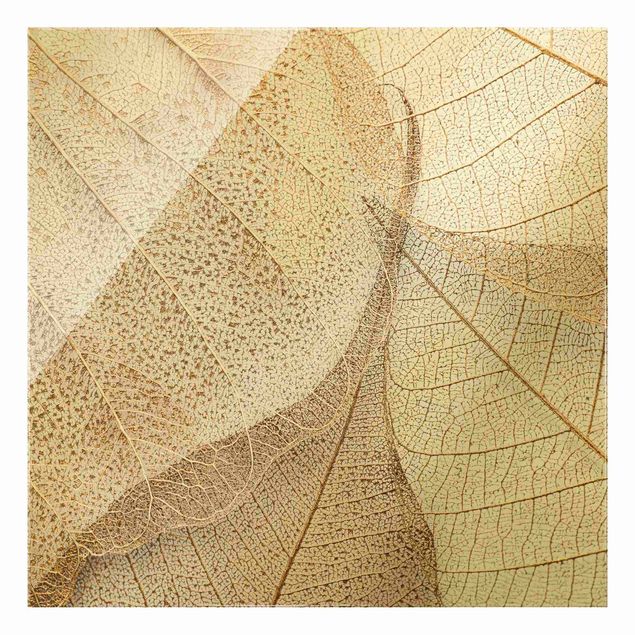 Glass print - Delicate Leaf Structure In Gold