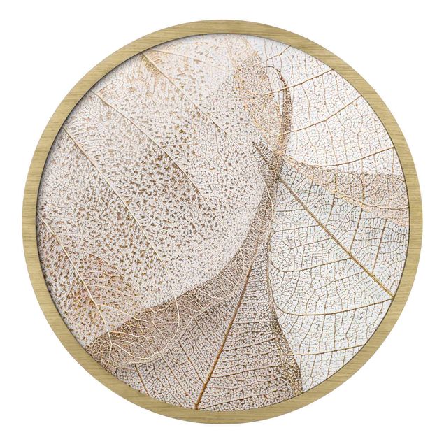 Circular framed print - Delicate Leaf Structure In Gold