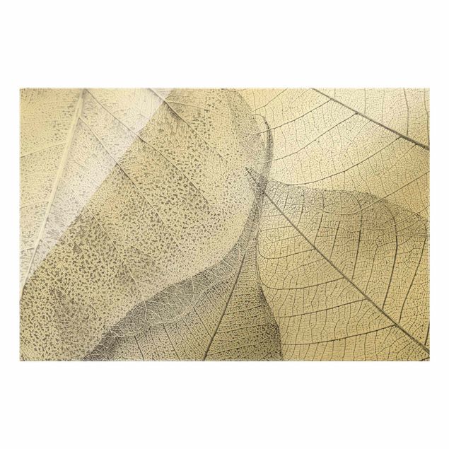 Glass print - Delicate Leaf Structure In Silver - Landscape format