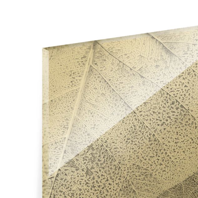 Glass print - Delicate Leaf Structure In Silver - Landscape format