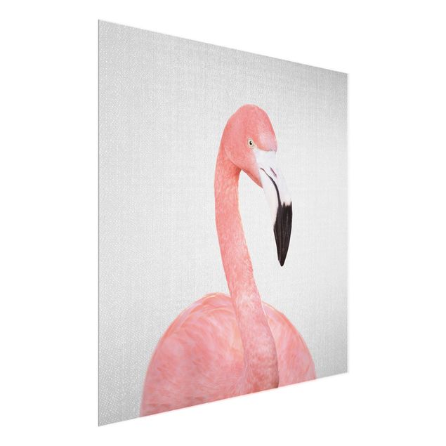 Glass print - Flamingo Fabian