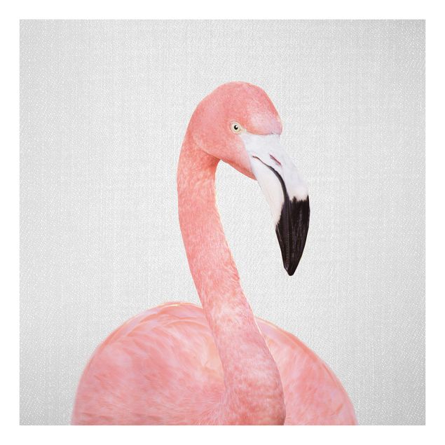 Glass print - Flamingo Fabian