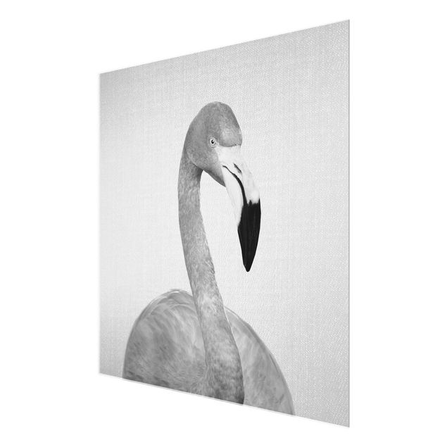 Glass print - Flamingo Fabian Black And White