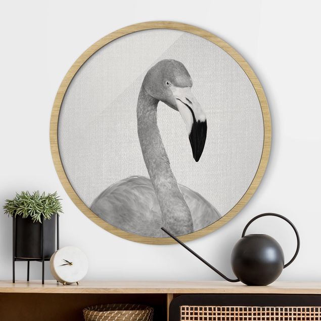 Framed prints round Flamingo Fabian Black And White