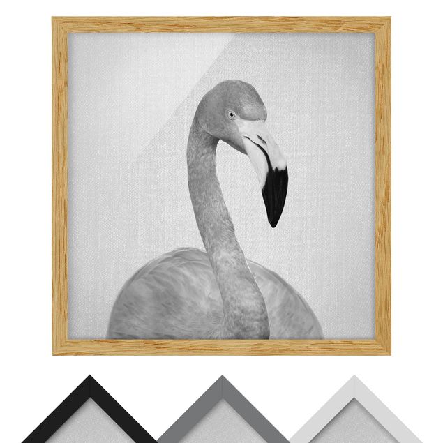 Framed poster - Flamingo Fabian Black And White