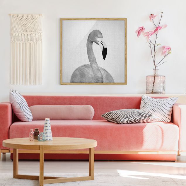 Framed poster - Flamingo Fabian Black And White