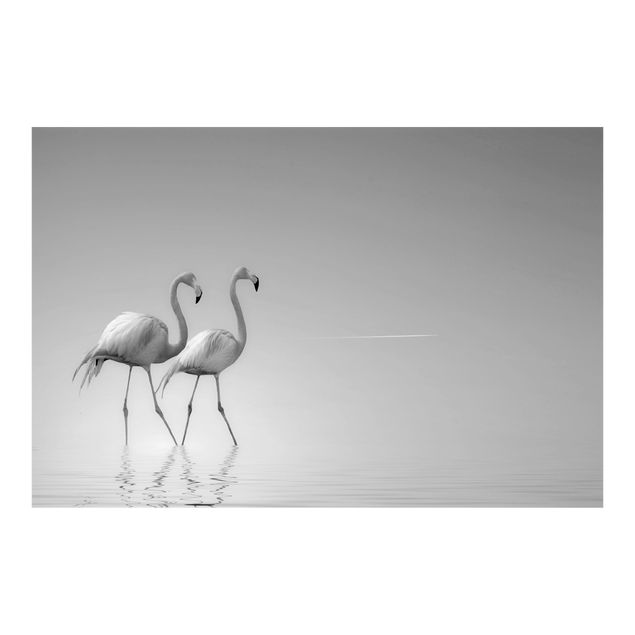 Wallpaper - Flamingo Love Black And White