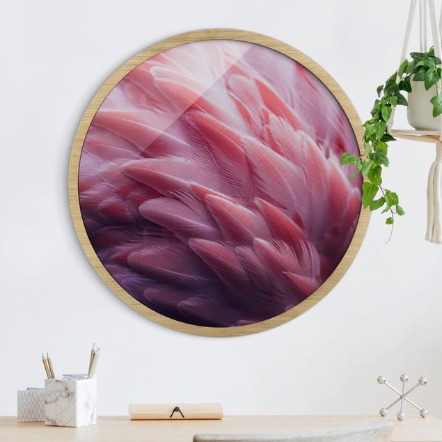 Framed prints round Flamingo Feathers Close-Up