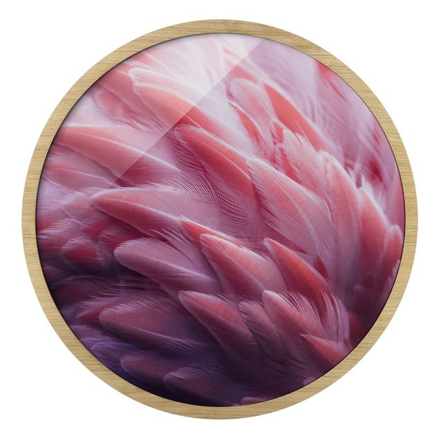 Circular framed print - Flamingo Feathers Close-Up