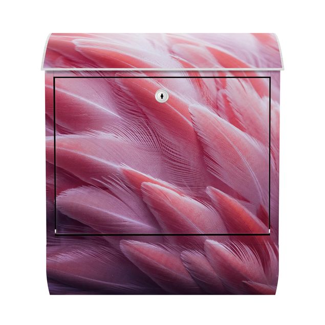 Letterbox - Flamingo Feathers Close-Up