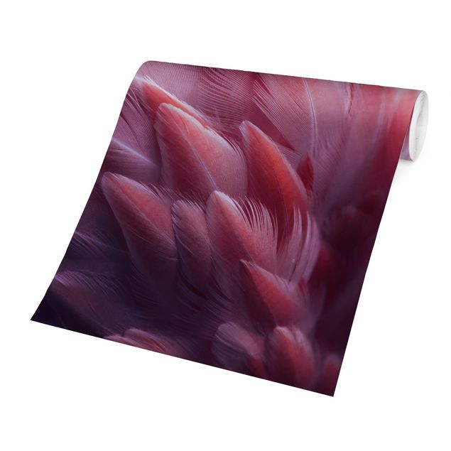 Walpaper - Flamingo Feathers Close-Up