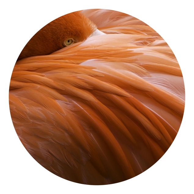 Self-adhesive round wallpaper - Flamingo Feathers
