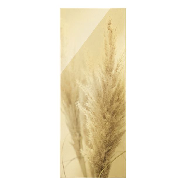 Glass print - Soft Pampas Grass