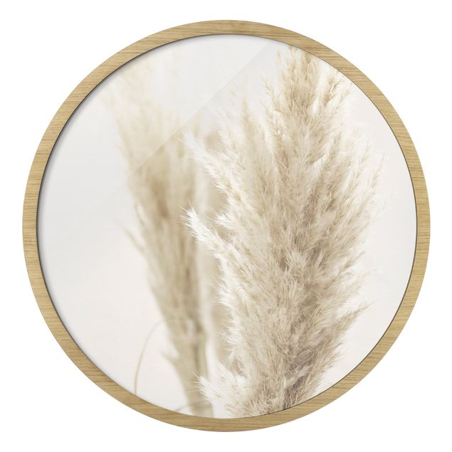 Circular framed print - Soft Pampas Grass