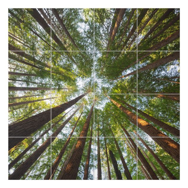 Tile sticker - Sequoia Tree Tops