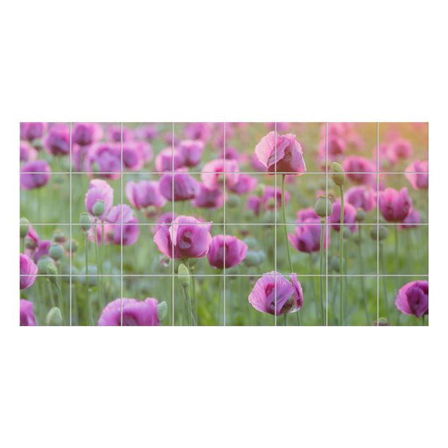 Tile sticker - Purple Poppy Flower Meadow In Spring