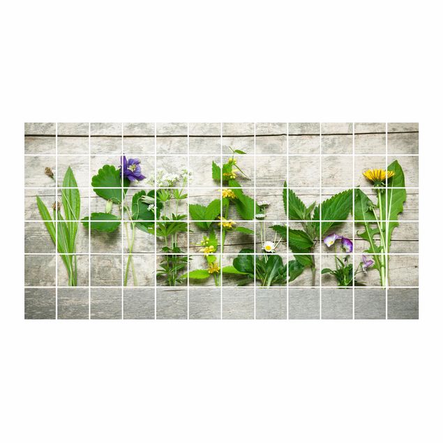 Tile sticker - Medicinal And Meadow Herbs