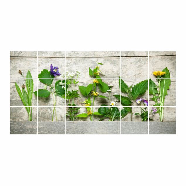 Tile sticker - Medicinal And Meadow Herbs