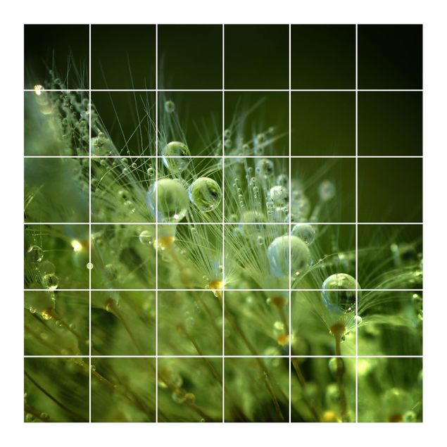 Tile sticker - Green Seeds In The Rain